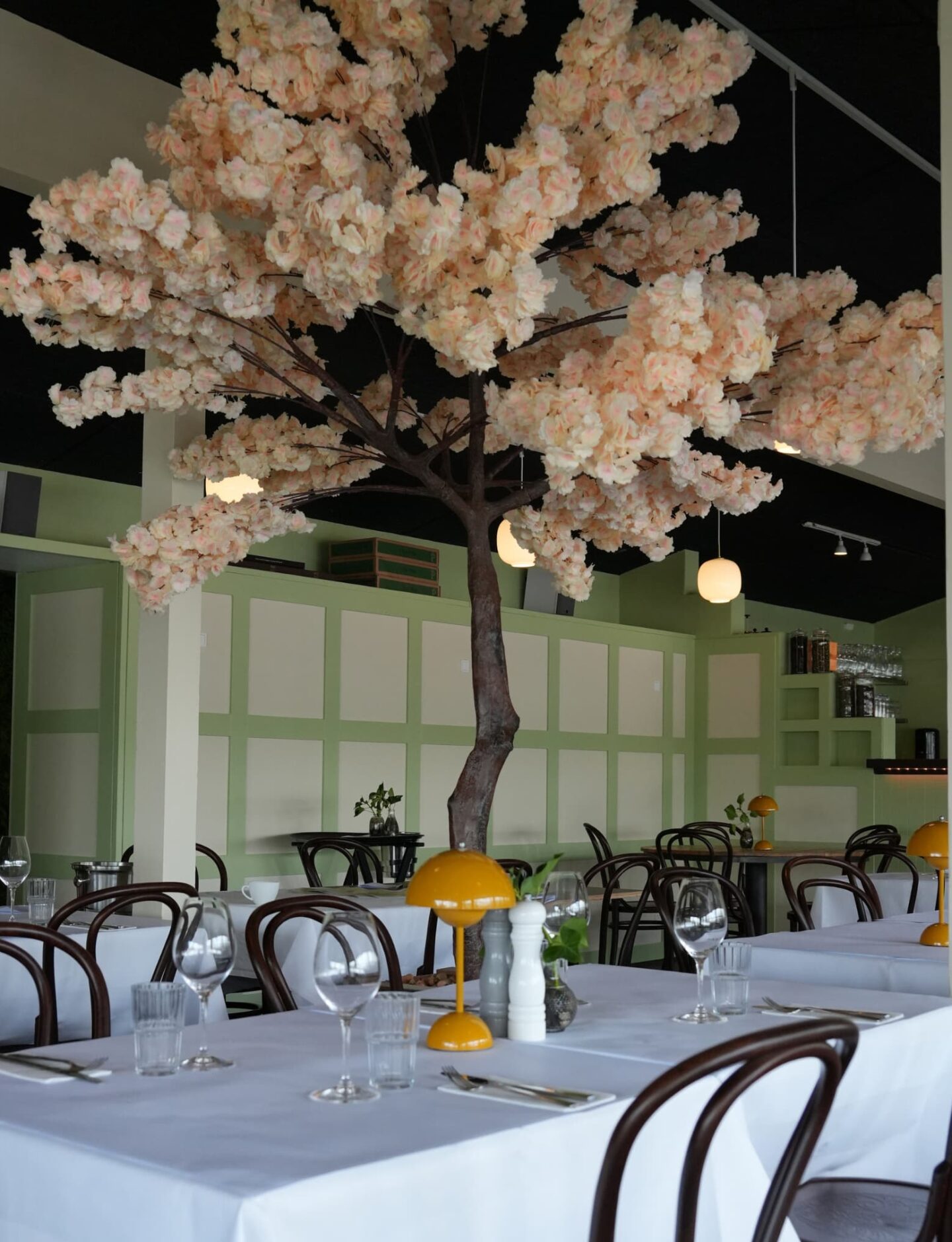 Design uden navn (8) Bistro Solera i Aarhus med indbydende restaurantinteriør, hvide duge og et stort blomstrende træ i midten.