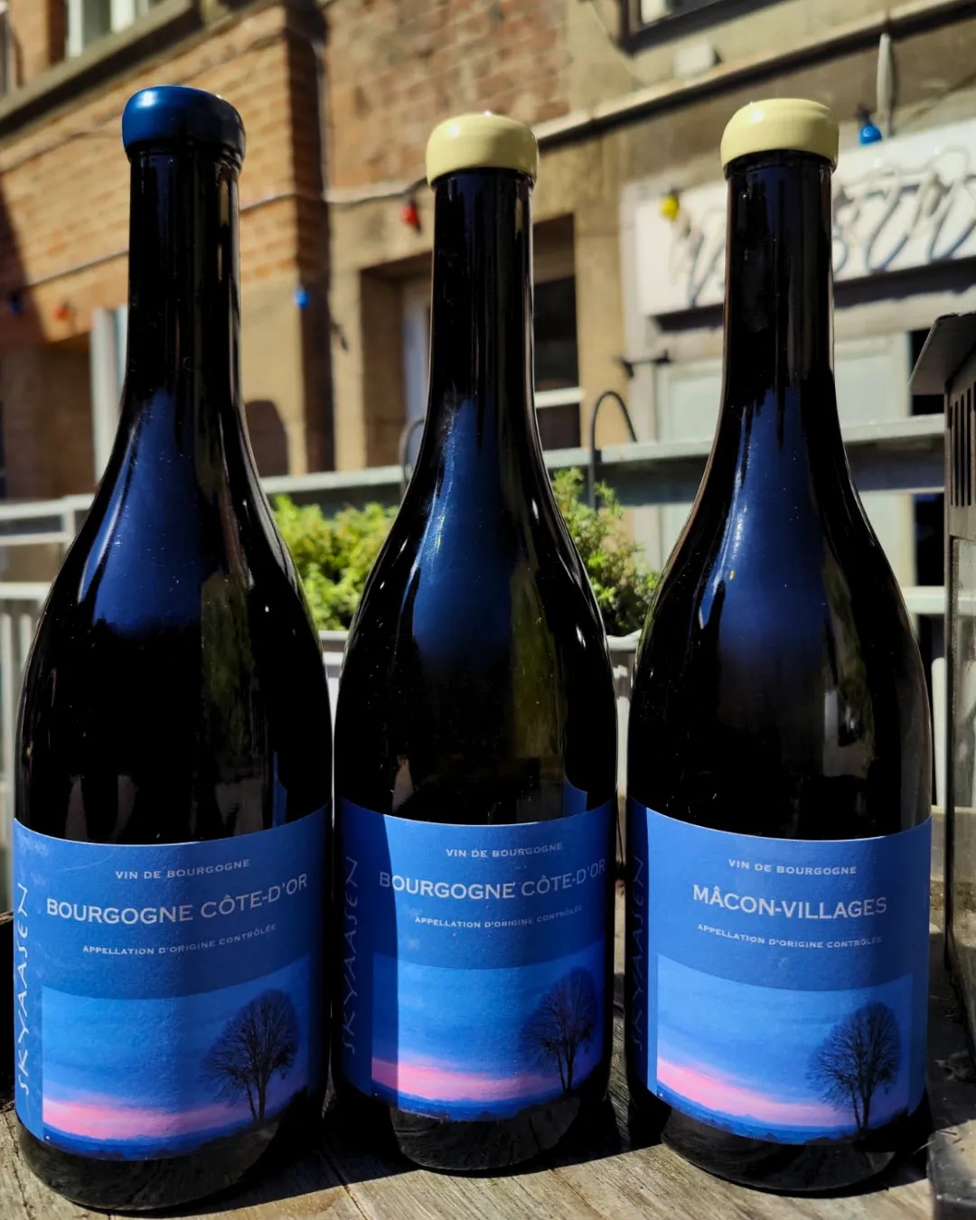 Bourgogne vine fra MasVino