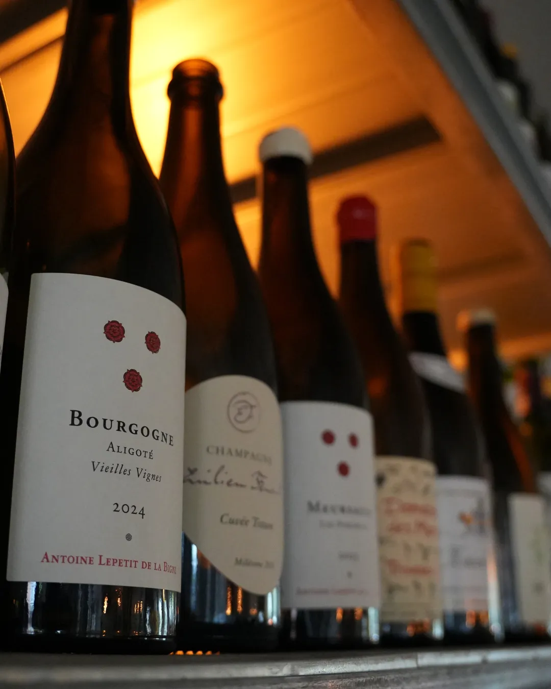Høj kvalitets vine på MasVino