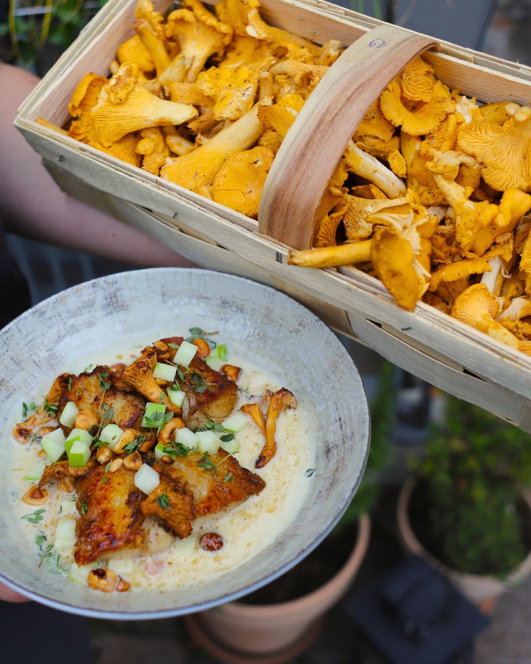 MasVino menu